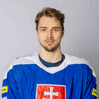 Dávid Romaňák