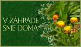 Slamienky | V záhrade sme doma