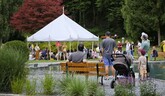 Festival Kruhy