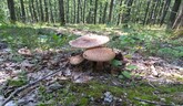 Rádiovíkend 20.6.2026 – pozvánky