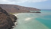 Mexiko – Baja California – plávanie so žralokmi, rajami, kosatkami a uškatcami