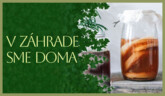 Spracovanie úrody kvasením | V záhrade sme doma