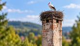 V Hanušovciach nad Topľou obnovia komín s bocianím hniezdom