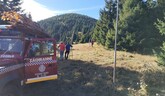 Tyčovanie vo Veľkej Fatre