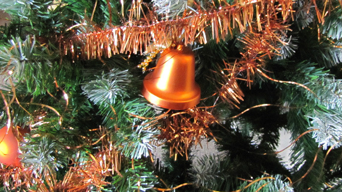 Vypiľovanie vianočných stromčekov 