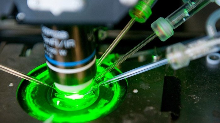 Treffen der Start-ups im Bereich Biomedizin 