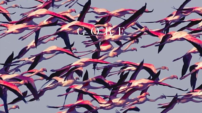 Album týždňa: Deftones - Gore