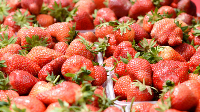 Fruit harvest to be halved this year