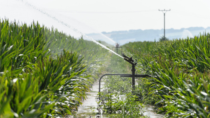 Landwirtschaftsministerium stellt Maßnahmen gegen Dürre vor