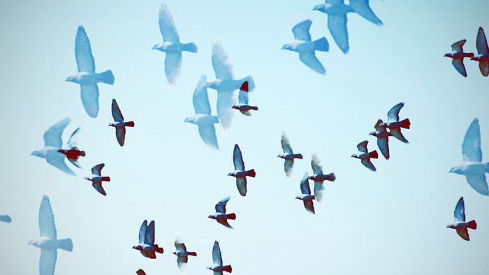 Večer na tému: Odchádzanie