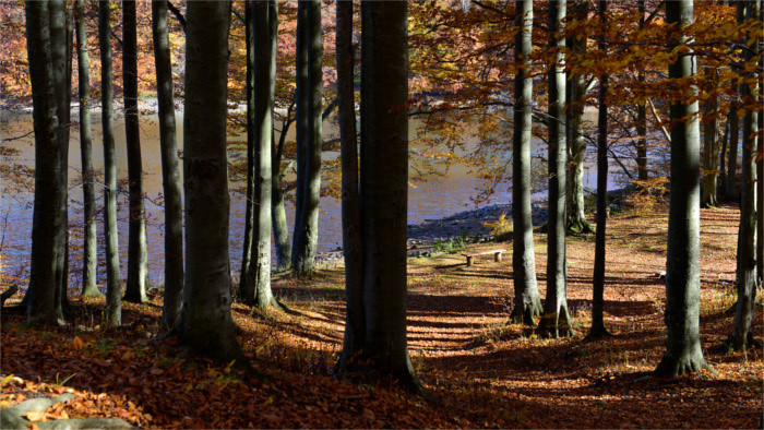 Erste Waldschule in der Slowakei