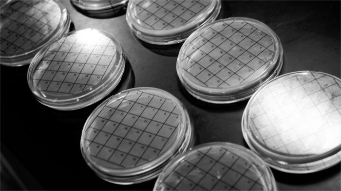 No biomedicine without money
