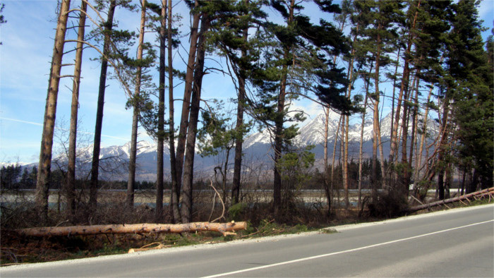 Wind alerts issued for the whole of Slovakia