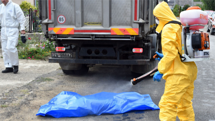 Schweinepest wütet weiter