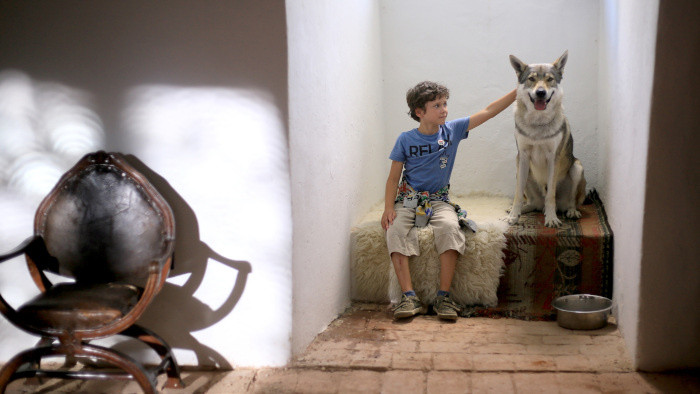 Na obrazovkách RTVS začína boj s pašovaním exotických zvierat