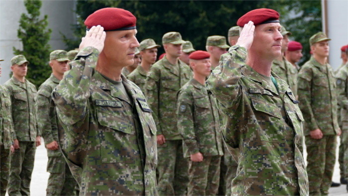 Militares y público asistente celebran el Día de las Fuerzas Armadas
