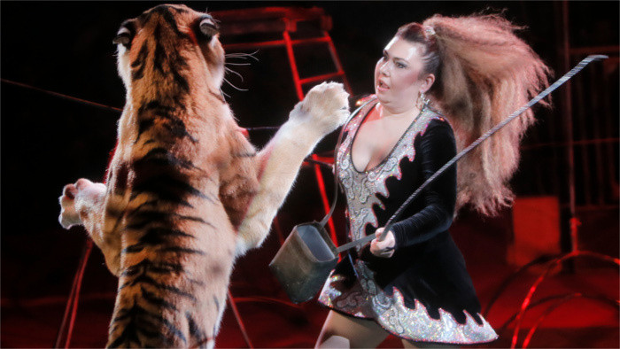 Entra en vigor un decreto contra la explotación animal en circos y espectáculos