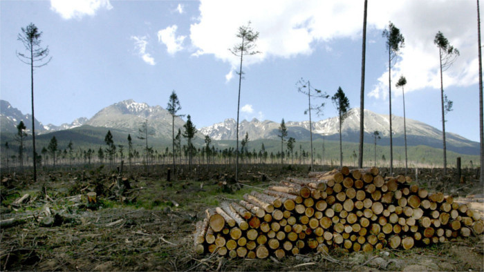 Hohe Tatra 13 Jahre nach der Sturmkatastrophe 