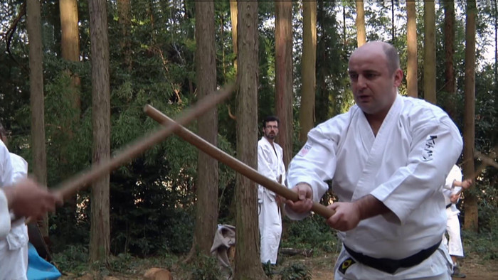 Sensei Japonsko