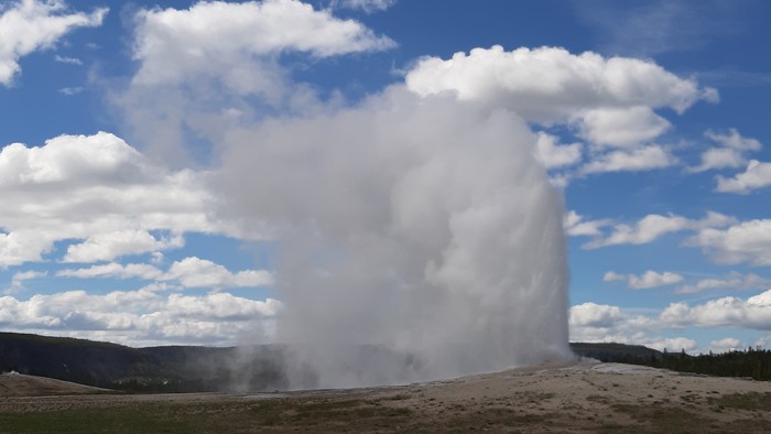 20190528_155726.jpg