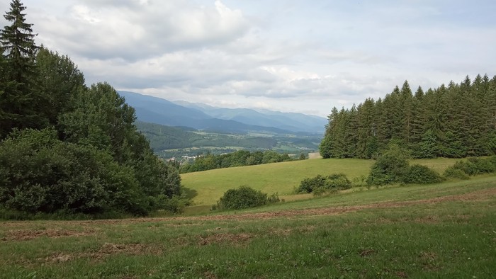 IMG_20190624_163605.jpg