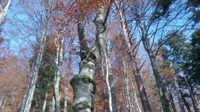 112.jpg