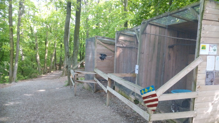 06.jpg