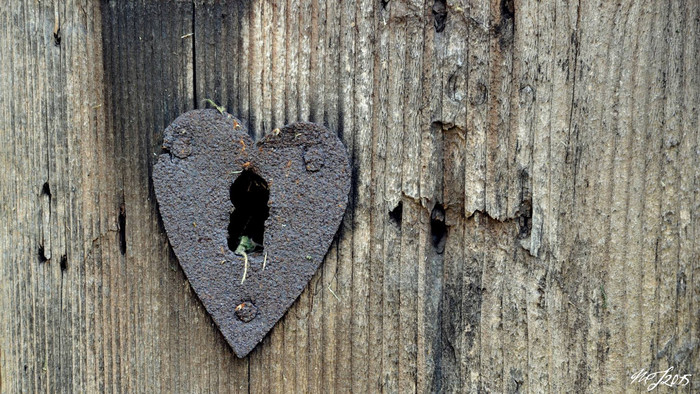 Vôňa dreva a hlas fujary