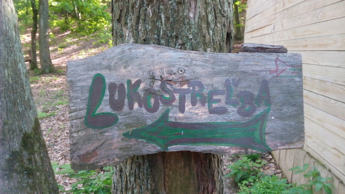 07.jpg