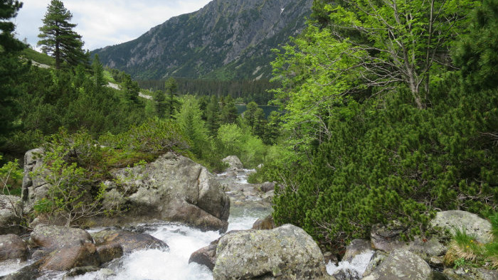 Začiatok zlomiskovej doliny, pohľad do Mengusovskej a Popradské pleso.JPG