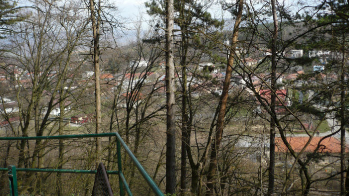 17.JPG