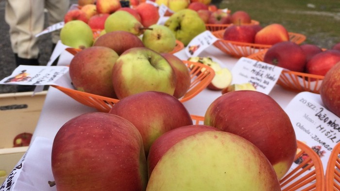 IMG_1403 (960x1280).jpg