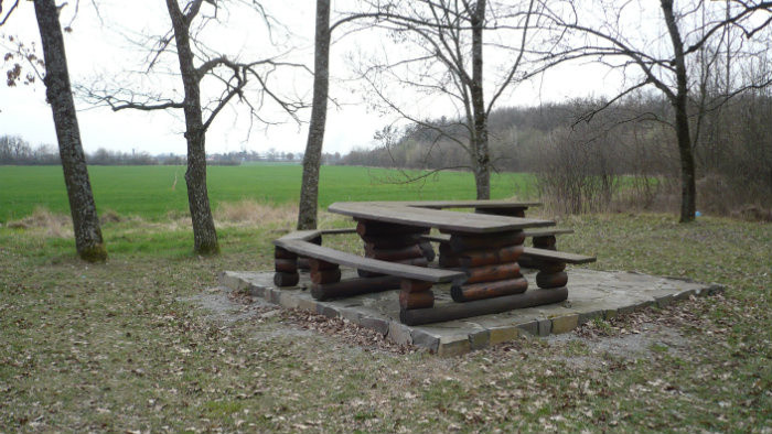 13.JPG