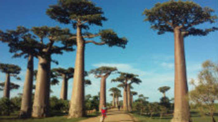 Madagaskar – unikátna príroda a zaujímavé zvyky Malgašov