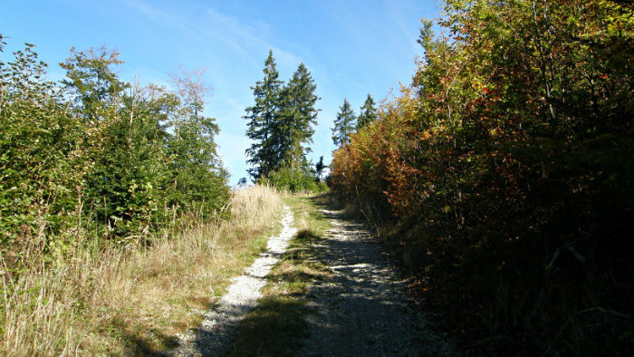 P9284827.JPG
