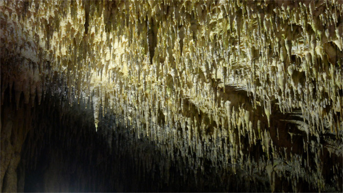 Quatre nouvelles grottes découvertes cet été 