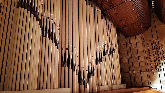 03_Willibald-Guggenmos-Orgel-RTVS_Kay Zeisberg.jpg