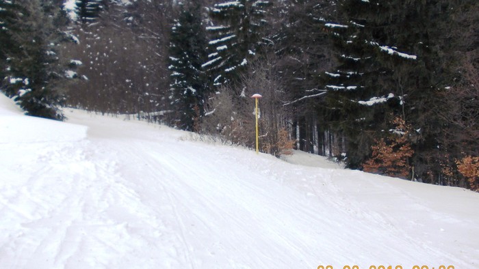 08.jpg