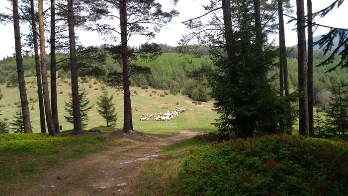 Snímka 4.jpg