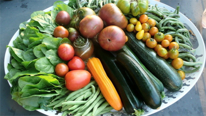 Slovak nutritionists: Being vegan has its benefits, but…