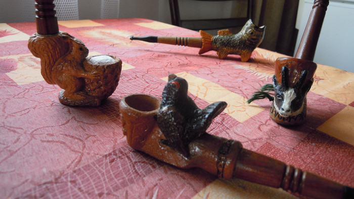 Hobby Karola Stodolicu