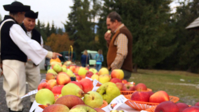 Poďakovanie za úrodu