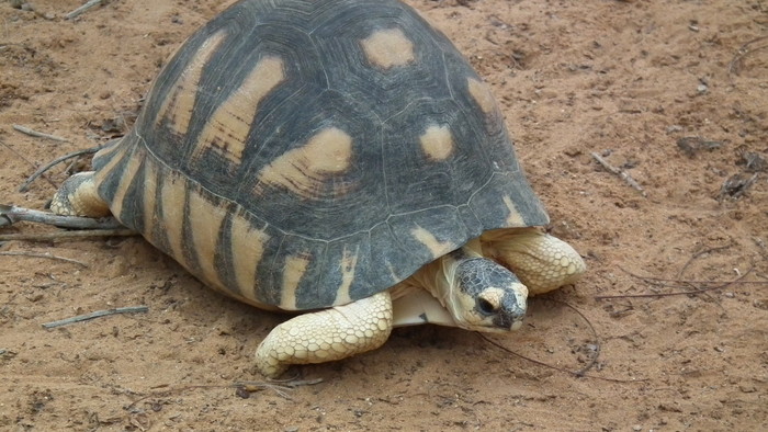 DSCF6739.JPG