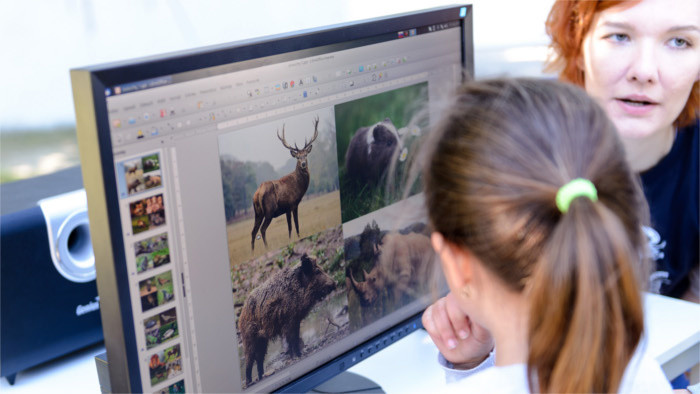 Les femmes dans le domaine de l’informatique