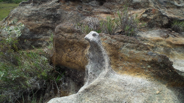 isalo rocky lemur.JPG