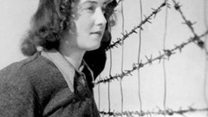 Dalma Špitzerová.jpg