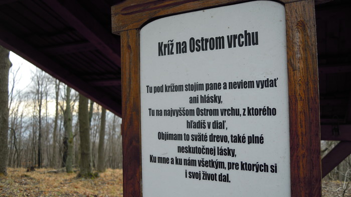 Snímka 8.JPG