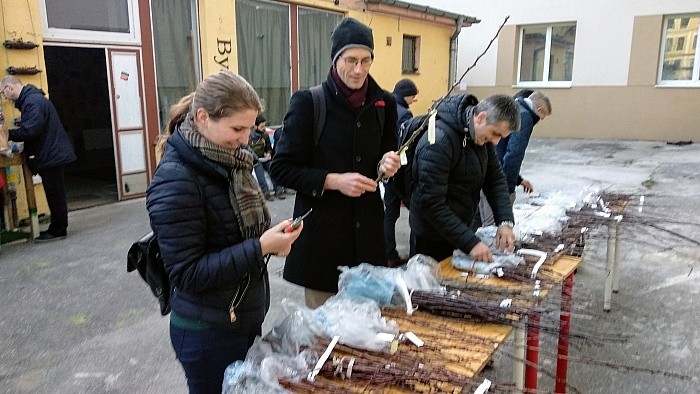 edelreis01_Lubo Kudlacek.jpg