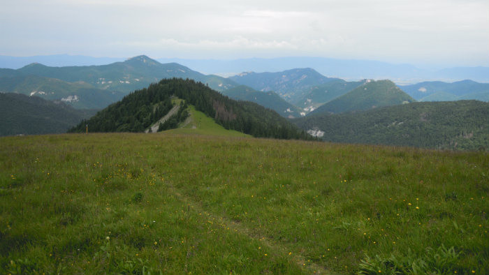 Ostredok, Veľká Fatra