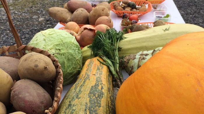 IMG_1406 (960x1280).jpg